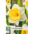 Karta - Narcis - Rosewarne (5 cibulí) "C"