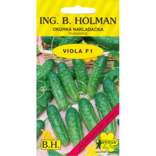 Okurka nakl. Holman - Viola F1 hr 2 g