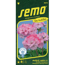 Pelargonie páskatá - Jarka F1 11s Pelargonie páskatá - Jarka F1 11s