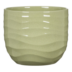 Obal 969 Rusch Grass lesk 21