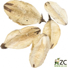 Dekorace - Lily Center - 5 ks