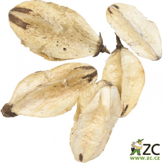 Dekorace - Lily Center - 5 ks