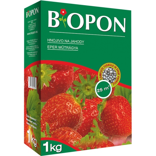 Bopon - jahody 1 kg BROS