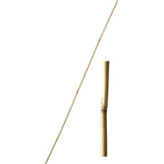 Tyč bambusová 210 cm tl. 24-26 mm Tyč bambusová 210 cm tl. 24-26 mm