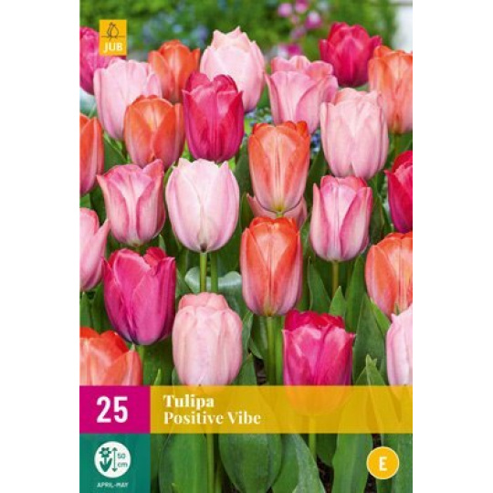 Karta XXL - Tulipán - Positive Vibe (20 cibulí) "E"