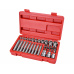 hlavice a hroty Torx sada 35ks, 1/4",3/8", 1/2", CrV