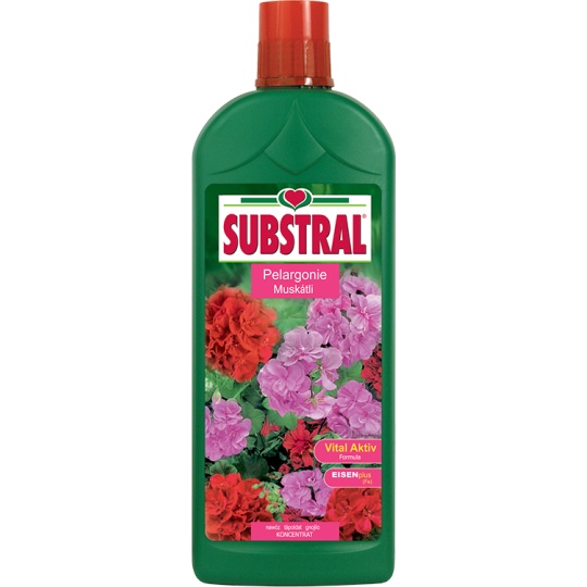 Substral tekutý pelargonie - 1 l EVERGREEN