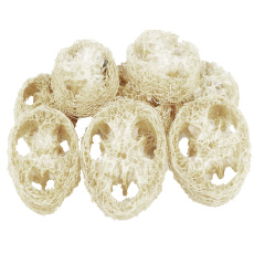 Dekorace - Luffa plátky bělené 25 g Dekorace - Luffa plátky bělené 25 g