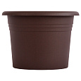 Obal Narcis - čokoládový 11 cm