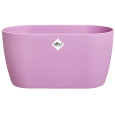 Obal Brussels Orchid Duo - vivid violet 25 cm 